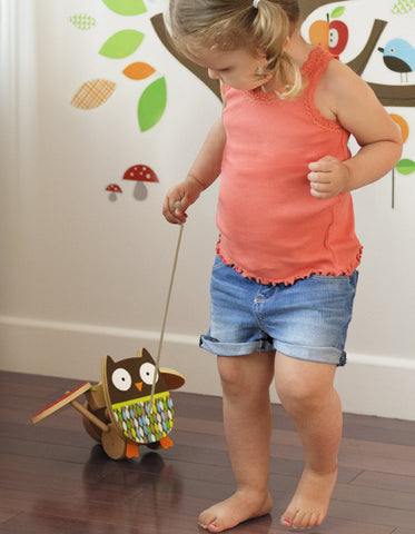 Skip Hop - Treetop Friends - Flapping Owl Pull Toy