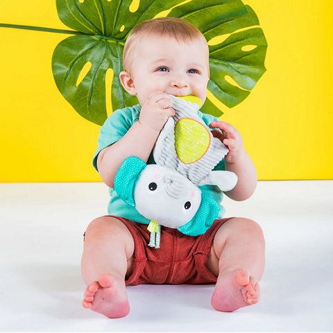 Bright Starts™ - Snuggle & Teethe Plush - (Available in 2 Designs)