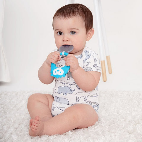 Skip Hop-Explore & More-Stay Cool Teether (Available in 3 Designs)